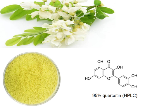 Quercetin Benefits.png